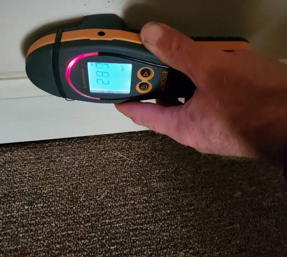 Moisture detection at baseboard during Sewage Cleanup & Sanitation in Chalmette